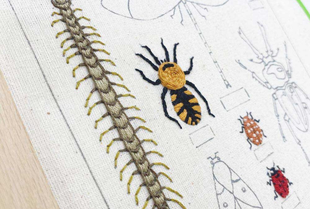 Free Embroidery Sampler Pattern: Bug Collectors Case – Part 4